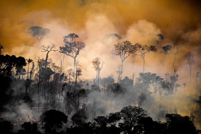 Foto: Greenpeace Brasil på Facebook, 01.09.2020